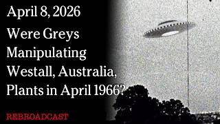 Watch April 8, 2026 - Were Greys Manipulating Westall, Australia, Plants in April 1966?