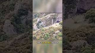 Watch Orb of Light Caught on Camera in New Zealand! ??✨ #UFOs #shorts @thirdphaseofmoon