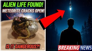 Watch IT'S ALIVE! Man Finds Alien Lifeform In Meteorite? THIS IS SCARY!