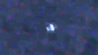 Watch UFO Sighting with Appearing Flashing Lights in McMinnville, Oregon - FindingUFO