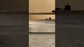 Watch ?➡️​ @thirdphaseofmoon #shorts #UFOs