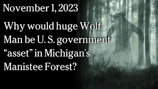 Watch November 1, 2023 - Why would huge Wolf Man be U.S. government “asset” in Michigan's Manistee Forest?