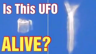 Watch Are UFOs Living Entities In Our Atmosphere - Is J Church Supporting Hoaxers Now? - Passhole