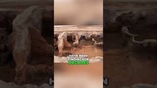 Watch Ancient Goddesses Ruled! Matriarchal Power in Early Civilizations Uncovered #shorts