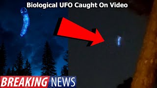 Watch Something Strange Just Happened Over Florida! Biological UFO Caught On Video!