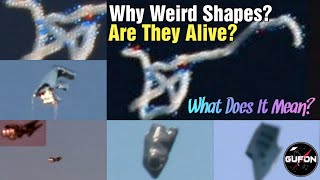 Watch Are We Seeing A UFO Embryo? - Why Won't The Aliens Speak To You?