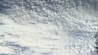 Watch RAW UAP UFO VIDEO! Miami Florida Extraordinary Footage! 2026