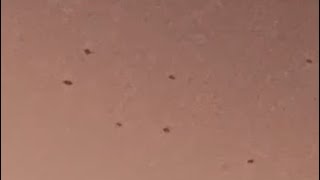 Armada Of Black UFOs Spotted Dematerialising And Appearing While in ...